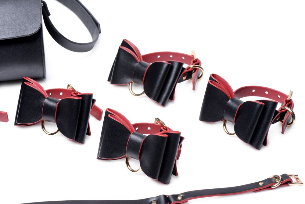 Набор БДСМ с дорожной сумкой Master Series: Bow — Luxury BDSM Set With Travel Bag, 11 предметов SO8796 фото