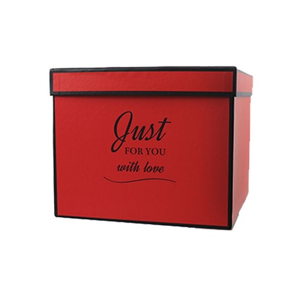 Подарункова коробка Just for you червона, S - 20х17х14, 5 см SO5475 фото
